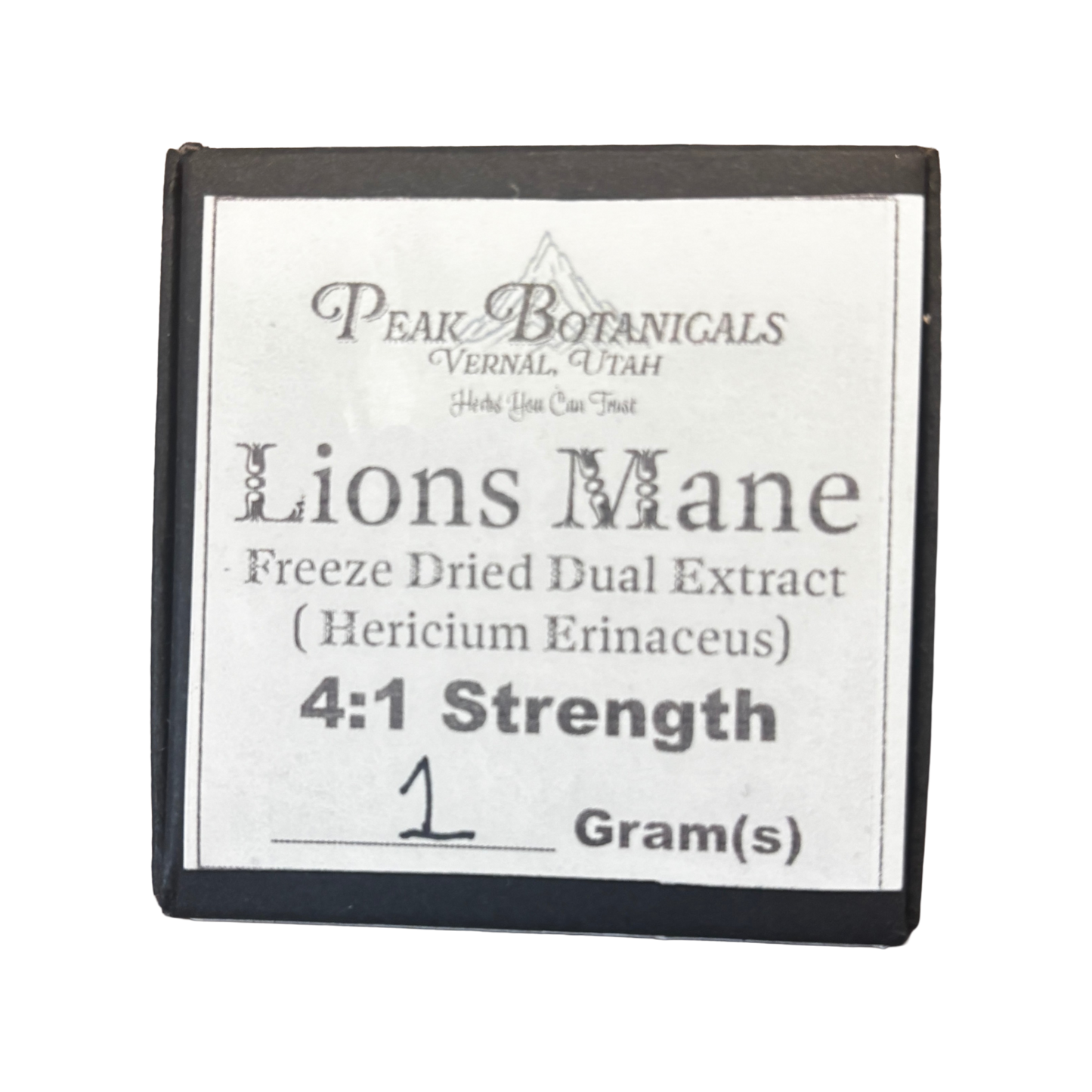 Lions Mane Dual Extract