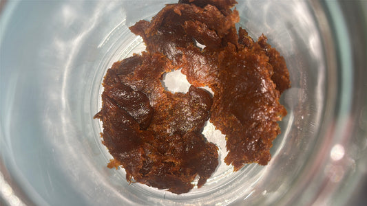 Lions Mane Dual Extract